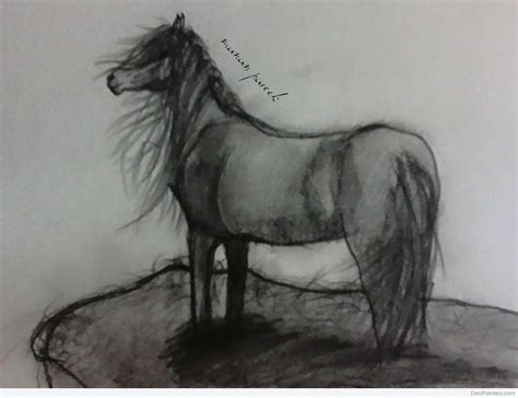 Pencil Sketch Of Mustang Horse | DesiPainters.com