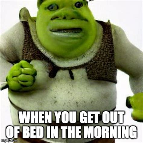 Shrek In The Morning - Imgflip