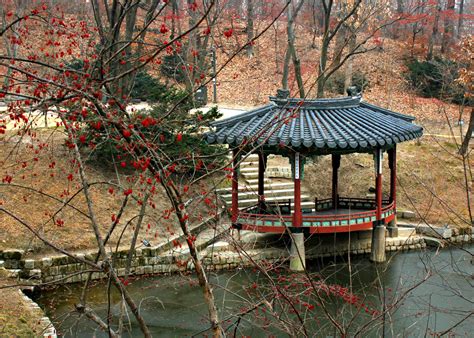 Explore the Beauty of Changdeokgung Palace & The Secret Garden - Alexis Jetsets – Travel Blog ...