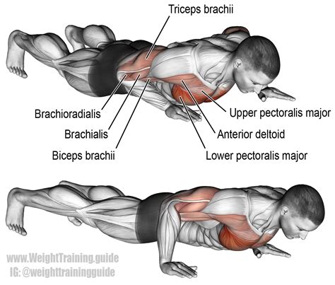 Isometric wiper | Chest workouts, Exercise, Isometric exercises