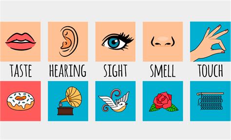 Activities using the 5 senses - New Routes