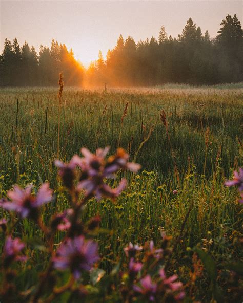 A super(volcanic) sunrise in Yellowstone National Park, Wyoming [OC ...