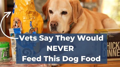 What Dog Food Do Vets NEVER Feed Their Pets? (The Surprising Truth ...