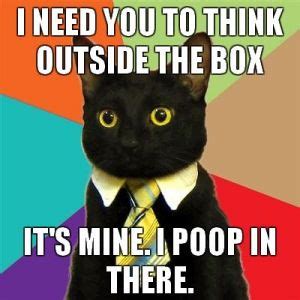 Business Cat Meme Generator - Imgflip