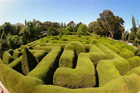 Australia's Biggest Maze - Where To Brisbane