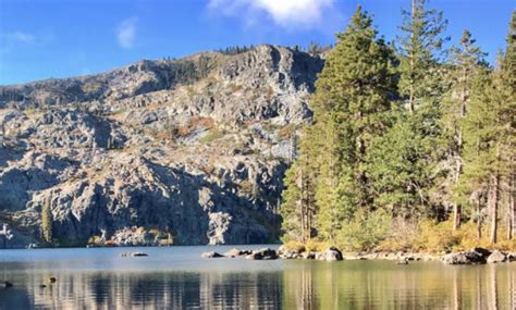 Tips for Enjoying Camping in the Shasta-Trinity National Forest - Redheaded Blackbelt