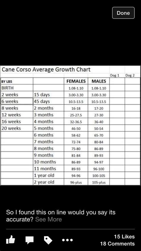 Cane Corso growth chart | Cane corso mastiff, Cane corso, Cane corso weight