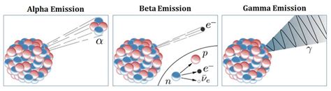 Properties of Alpha Beta and Gamma ays | EasyBiologyClass