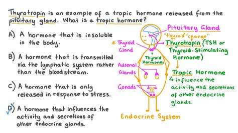 Question Video: Recalling What a Tropic Hormone Is | Nagwa