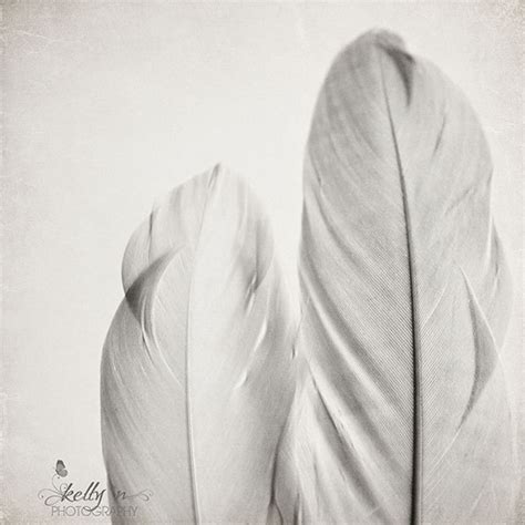 Feather Photography Feather Wall Art, Nature Photo, Black and White Feather Photograph, Soft ...