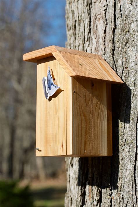 White-breasted Nuthatch Cedar Bird House | Etsy