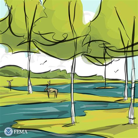 Wetland Restoration and Protection | FEMA.gov