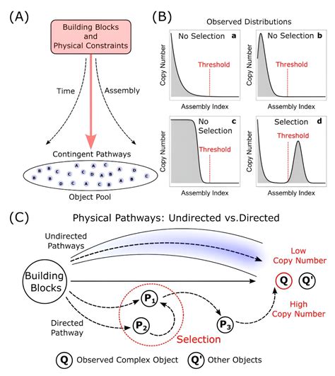 New 'assembly theory' unifies physics and biology to explain evolution and complexity