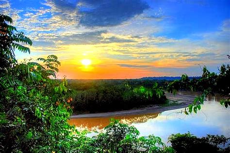 Amazon, sun, amazon river, rain forest, trees, HD wallpaper | Peakpx