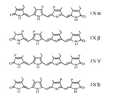 Biliverdin (BV) Isomers Analysis service - Creative Proteomics