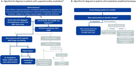 Light-chain cardiac amyloidosis: strategies to promote early diagnosis and cardiac response | Heart