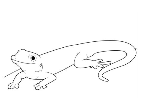 Coloring pages: Gecko lizard, printable for kids & adults, free