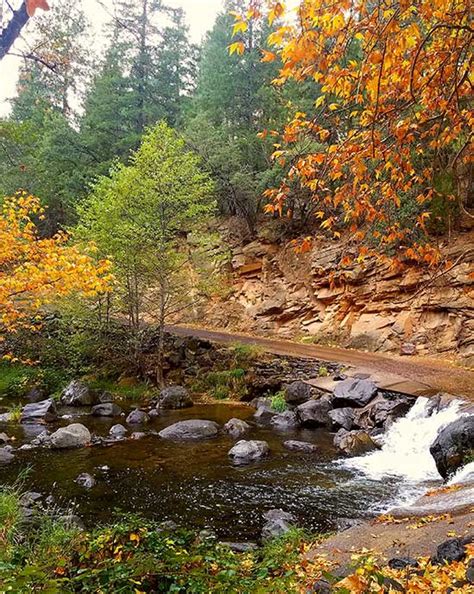 Where to Find Best Fall Leaf Colors in Flagstaff 2024