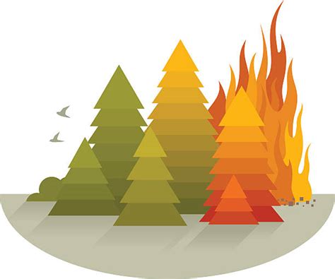 Best Forest Fire Illustrations, Royalty-Free Vector Graphics & Clip Art - iStock