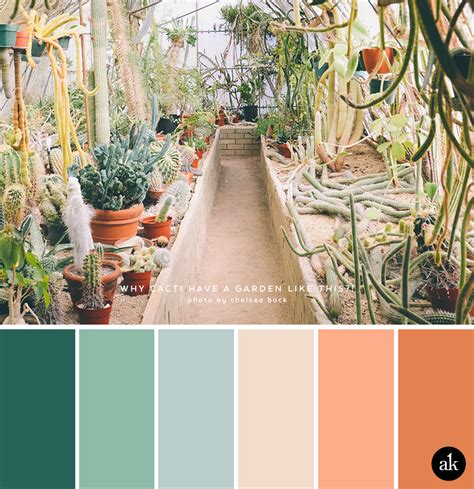 a cactus-garden-inspired color palette — Creative brands for creative people // Akula Kreative