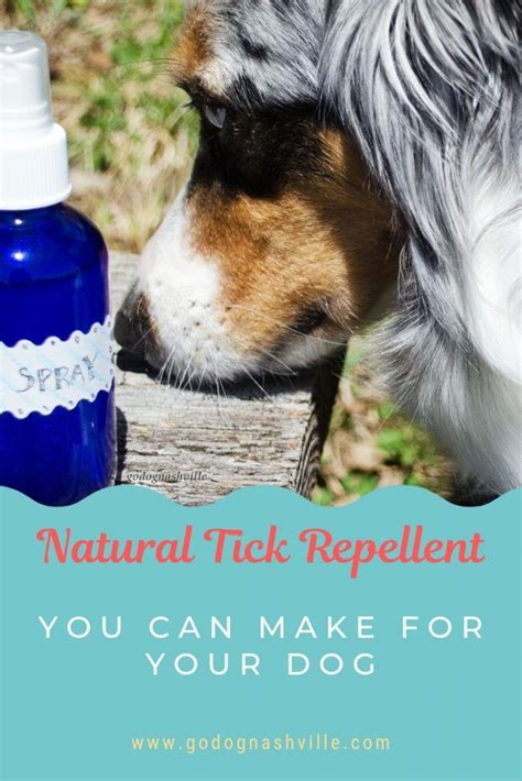 Natural Flea And Tick Repellent For Dogs