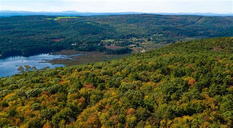 New Hampshire Climate Resilient Forest Management Workshops | Climate Change Response Framework