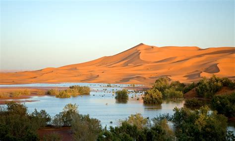 Desert Adventure: 15 Reasons Why You Should Visit Merzouga, Morocco | How Africa News