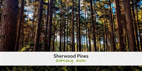 Sherwood Pines Campsite - Open Spring 2020 | Camping in the Forest