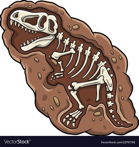 #dinosaurfossils | Fósiles de dinosaurios, Ilustración de dinosaurios, Imagenes de dinosaurios ...