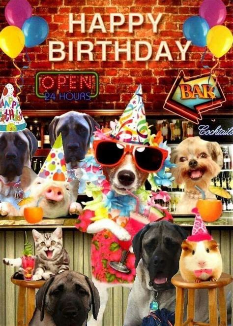 Pin on Happy Birthday | Happy birthday dog, Happy birthday animals ...