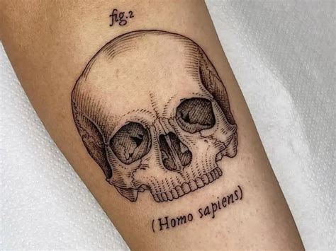 15 Awesome Skull Tattoo Designs With Best Pictures | atelier-yuwa.ciao.jp