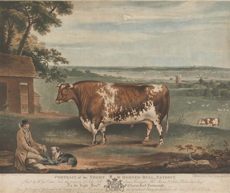 In 19th-Century Britain, The Hottest Status Symbol Was a Painting of Your Cow - Gastro Obscura