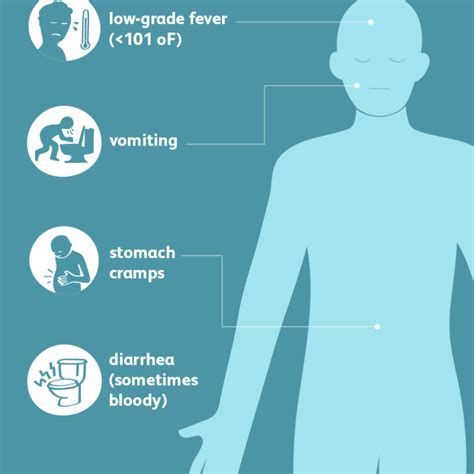 Escherichia coli: Symptoms and Common causes - My Health Only