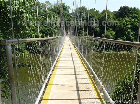 Nilambur Canolly Plot, world's first teak plantation, hanging bridge, Nilambur, Malappuram, Thrissur