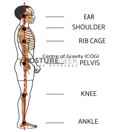 HOW TO ASSESS YOUR POSTURE - SIDE VIEW