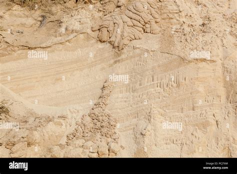 Sandy beach with patterns from the streams of water. The texture of the ...