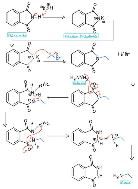 Gabriel Synthesis - Chemistry LibreTexts