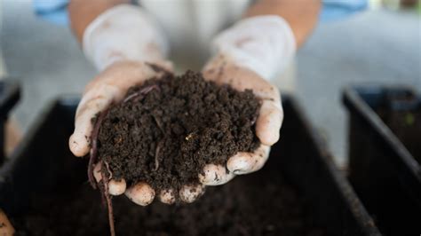 Human composting is a ‘brilliant’ idea | Sky News Australia