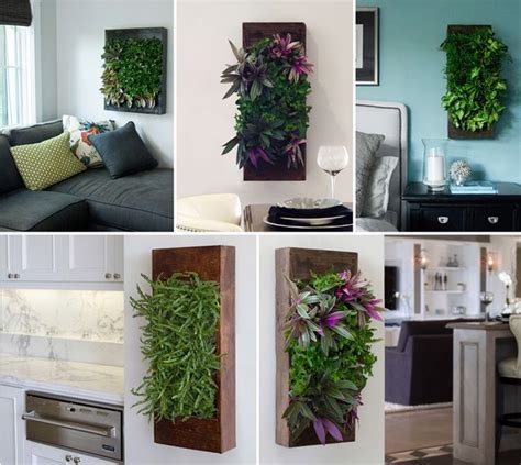 20+ Beautiful Wall Planters Indoor Living Wall Ideas – HomeDecorish