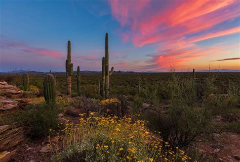 Sonoran Desert. (2048×1387) | Landscape, Nature, Sonoran desert