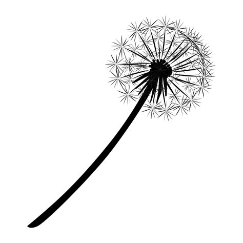 Dandelion Seed Head 2 Free Stock Photo - Public Domain Pictures