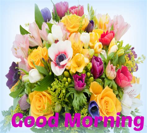 Fresh Flowers Of Morning For You! Free Good Morning eCards | 123 Greetings