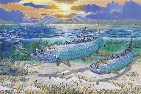 Tarpon cut In0011 Painting by Carey Chen - Fine Art America