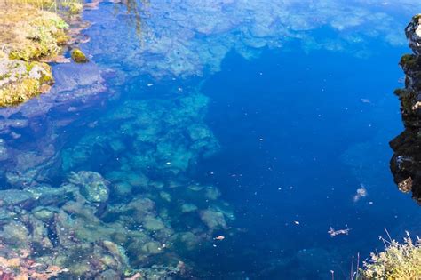 Premium Photo | Water in silfra fissure in valley of thingvellir