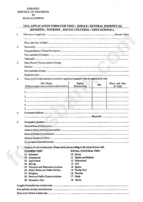 Indonesia Visa Application Form For Visit - Single/several Journey(S) printable pdf download