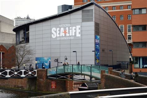 Review & Video of The National Sea Life Centre in Birmingham - South West Reviews