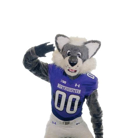 Willie The Wildcat Sticker by Northwestern Alumni Association for iOS ...