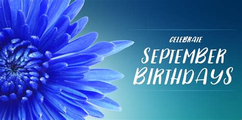 Celebrate September Birthdays with Sapphires and Asters - Al's Florist