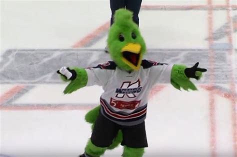 Now Hiring, Kalamazoo's Coolest Job: Slappy, the K-Wings Mascot