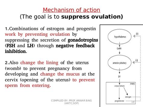 4. Oral contraceptives